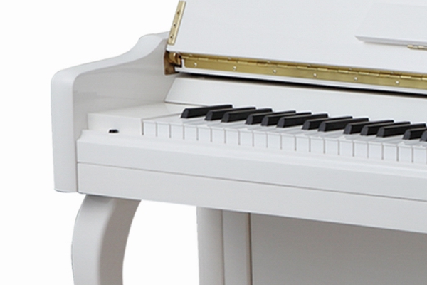 CS-123P
